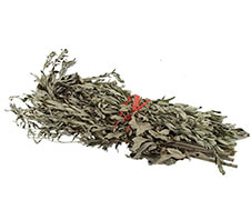 艾草粉碎機多少錢一臺