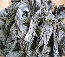 海帶粉碎機多少錢一臺