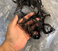 碳纖維長絲粉碎機多少錢一臺