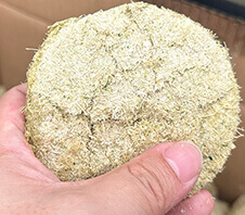 竹子擠水機機多少錢一臺