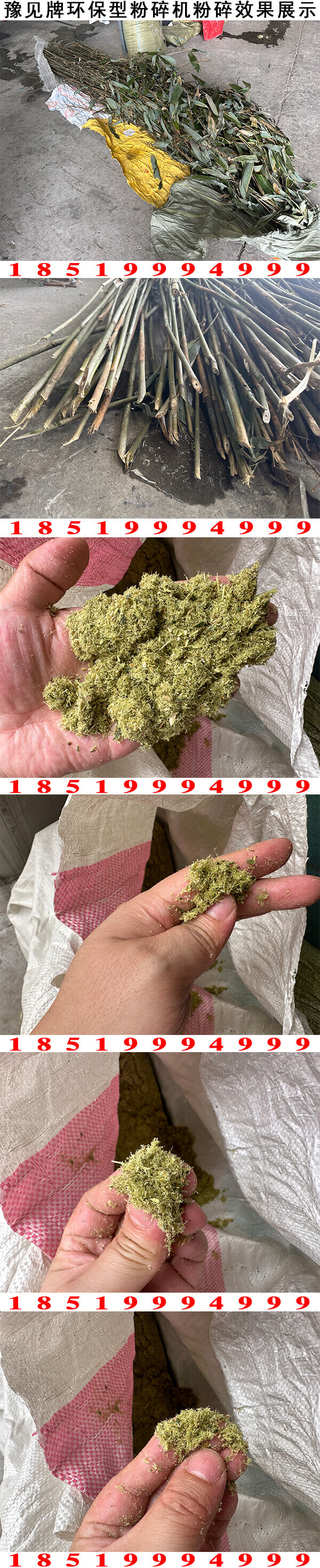 濕竹子粉碎機圖片