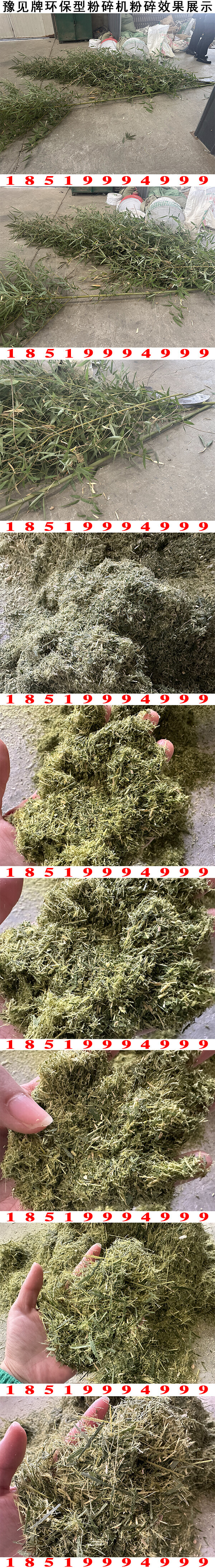 濕竹子粉碎機圖片1
